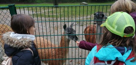 IMG_20211019_125630